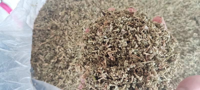 合欢花花米