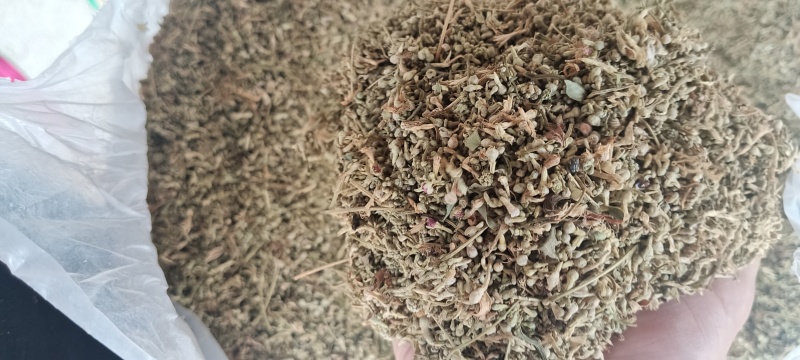 合欢花花米