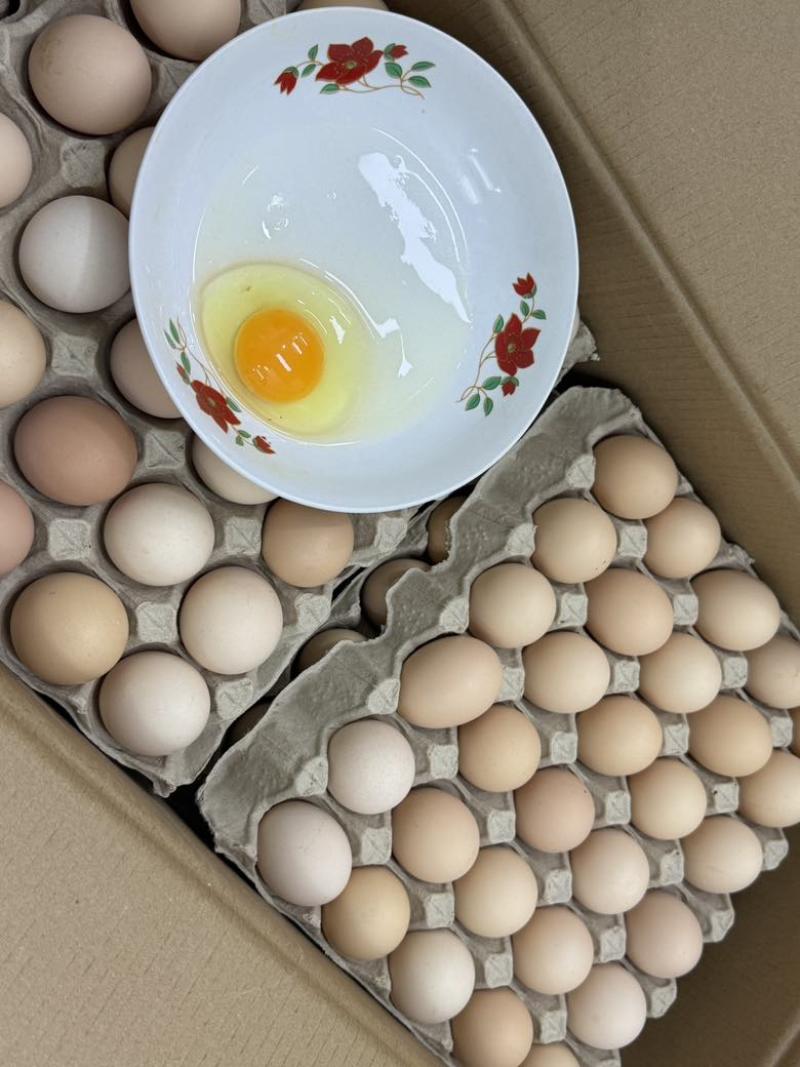 富硒无抗鲜鸡蛋鸡场直营价格可聊