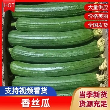 农家油皮丝瓜，蔬菜是新鲜现摘品质保证，支持视频看货！