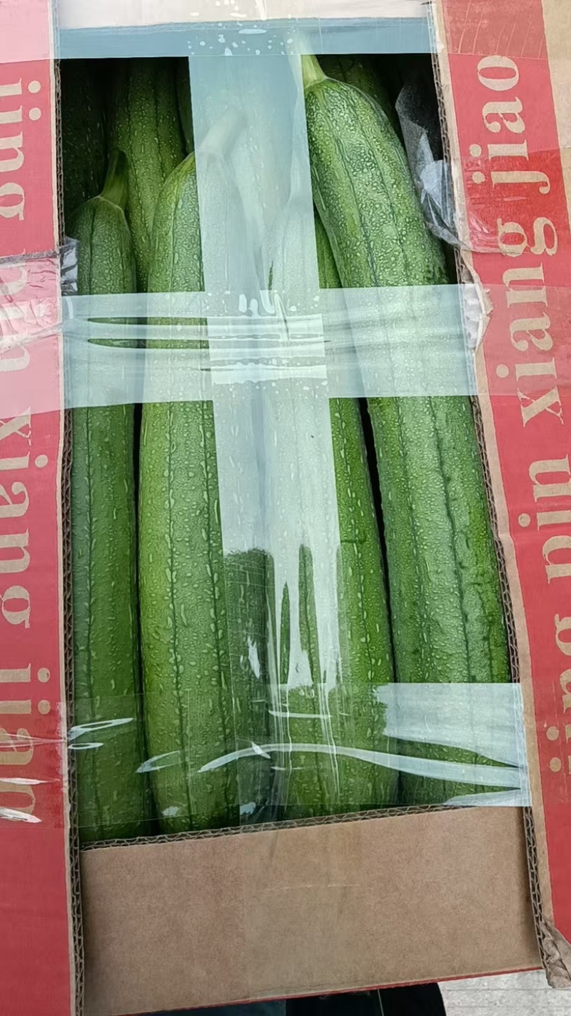农家油皮丝瓜，蔬菜是新鲜现摘品质保证，支持视频看货！