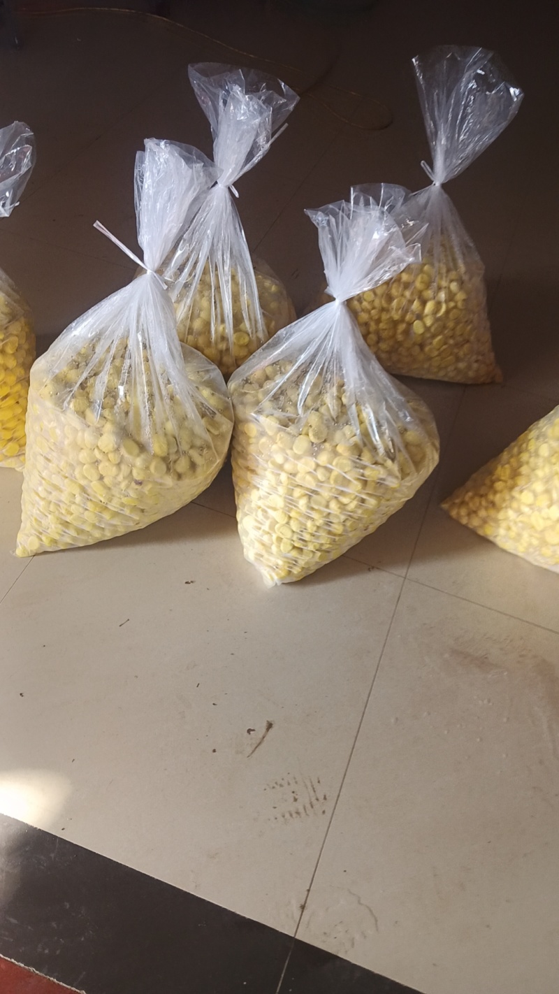 精品板栗米