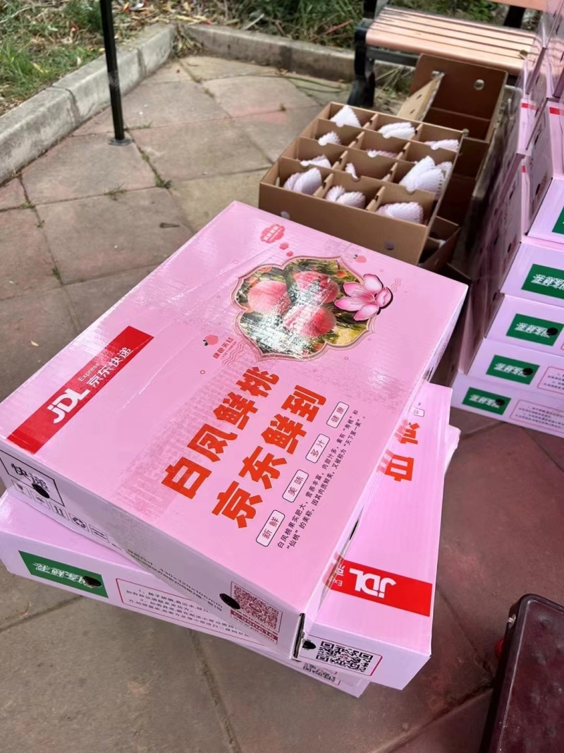 甘肃省兰州市七里河区彭家坪镇石板山村的白粉桃