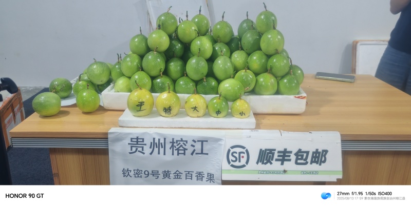 榕江村超百香果