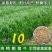 耐寒牧草种子多年生黑麦草种子常青鸡鸭鹅猪牛羊鱼草种籽高产耐热