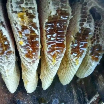 土蜂蜜，野生蜂蜜，深山