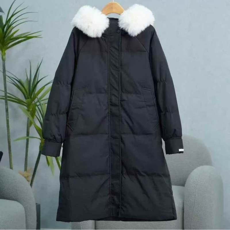 女士长款羽绒服50件左右，都是精品好货，只要49元**