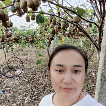 红心猕猴桃金红1号。