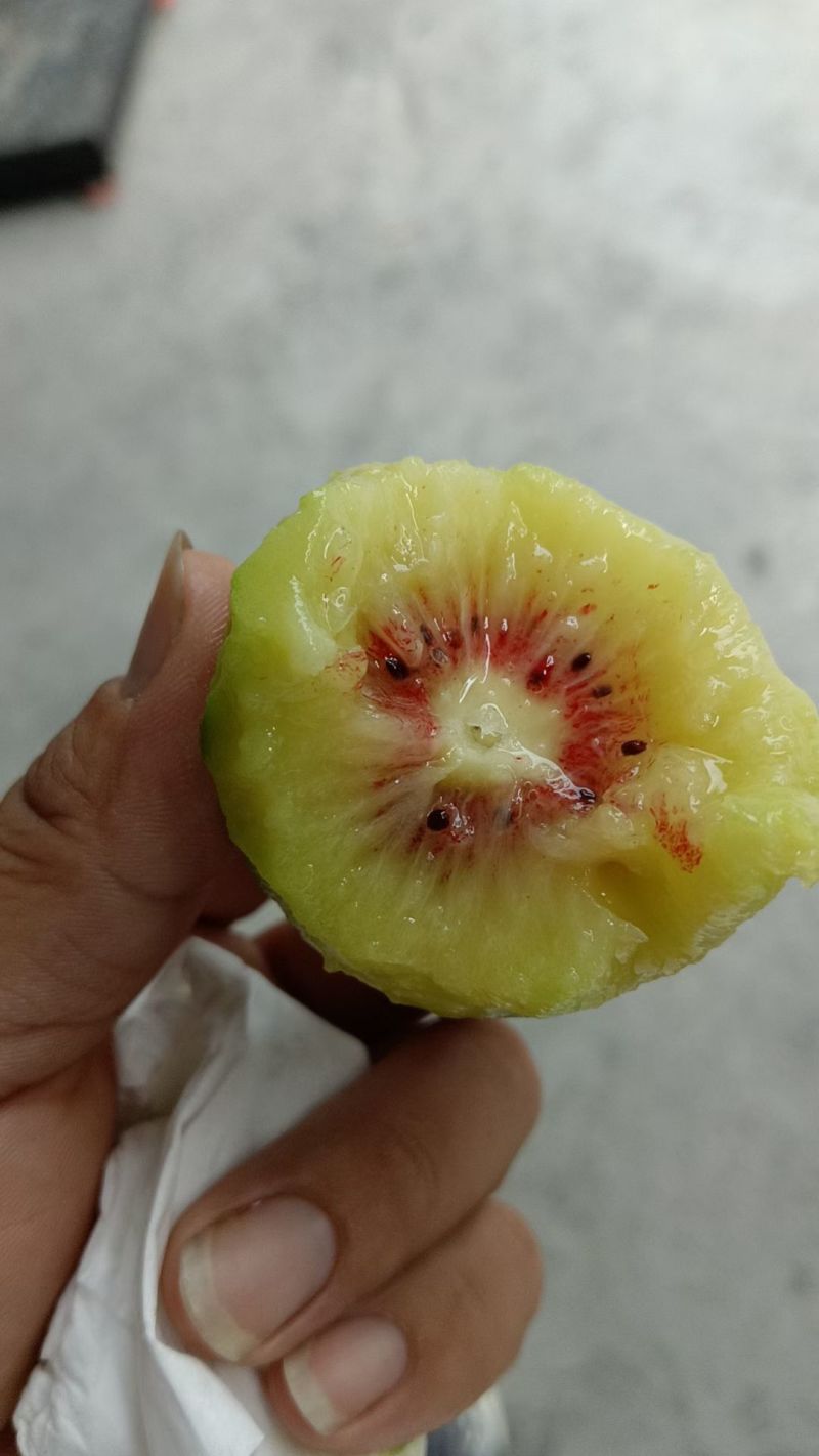 红心猕猴桃，绿心猕猴桃自家种的