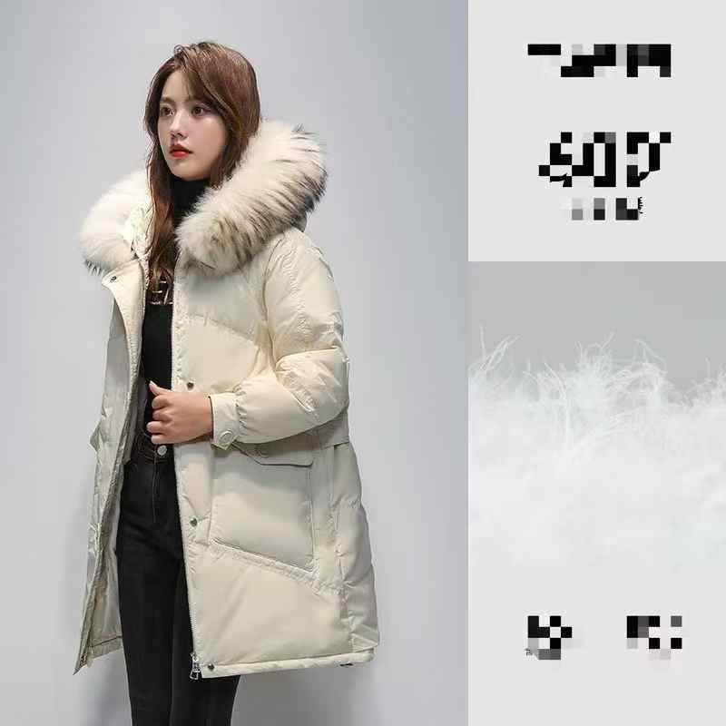 女士时尚**羽绒服100件左右，独立包装带吊牌，质量好49