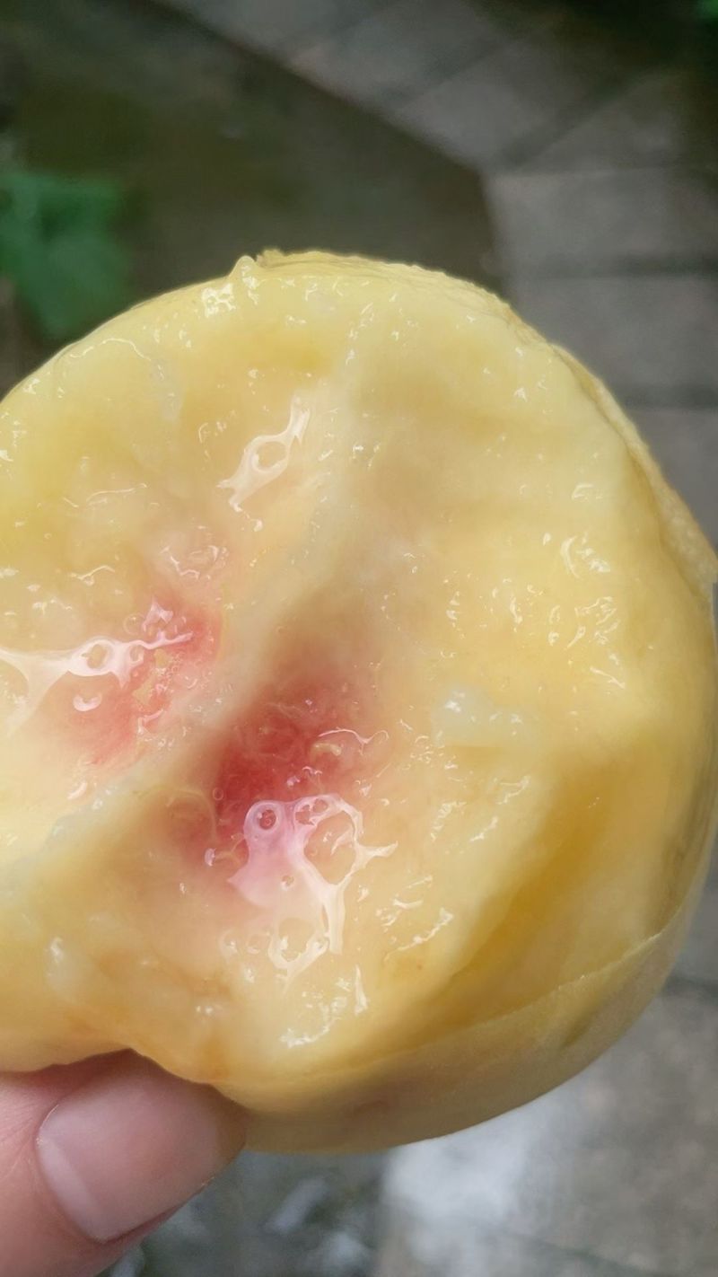 歙县石河香蜜水蜜桃