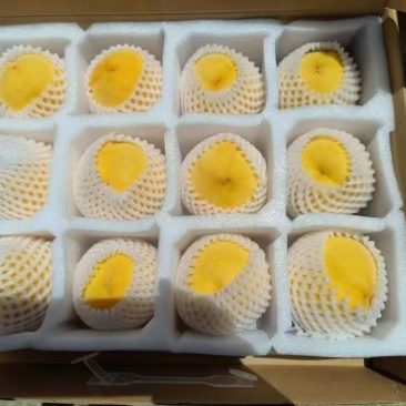 歙县石河香蜜水蜜桃