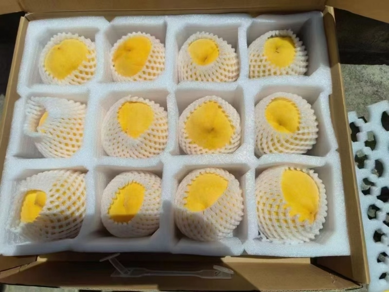 歙县石河香蜜水蜜桃