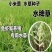 批发小米草种子雀叶稗湖南稷子水草虾蟹牧草种子鱼草种子耐涝水淹