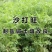 沙打旺种子多年生牧草四季果园绿肥防沙固土护坡耐寒耐旱盐碱草籽