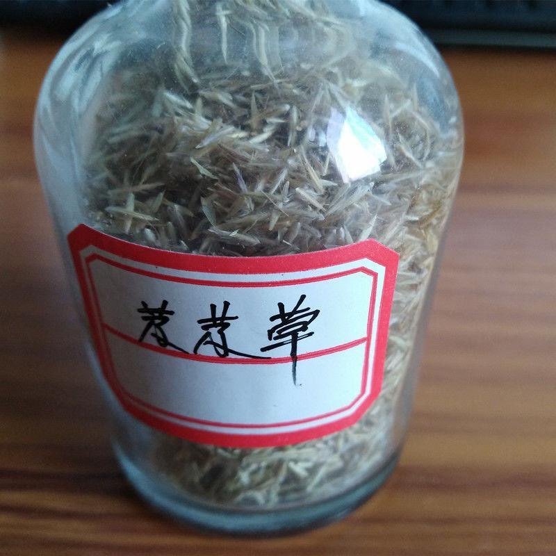 芨芨草芨芨草优质牧草水草绿化耐旱防风固沙量大从优