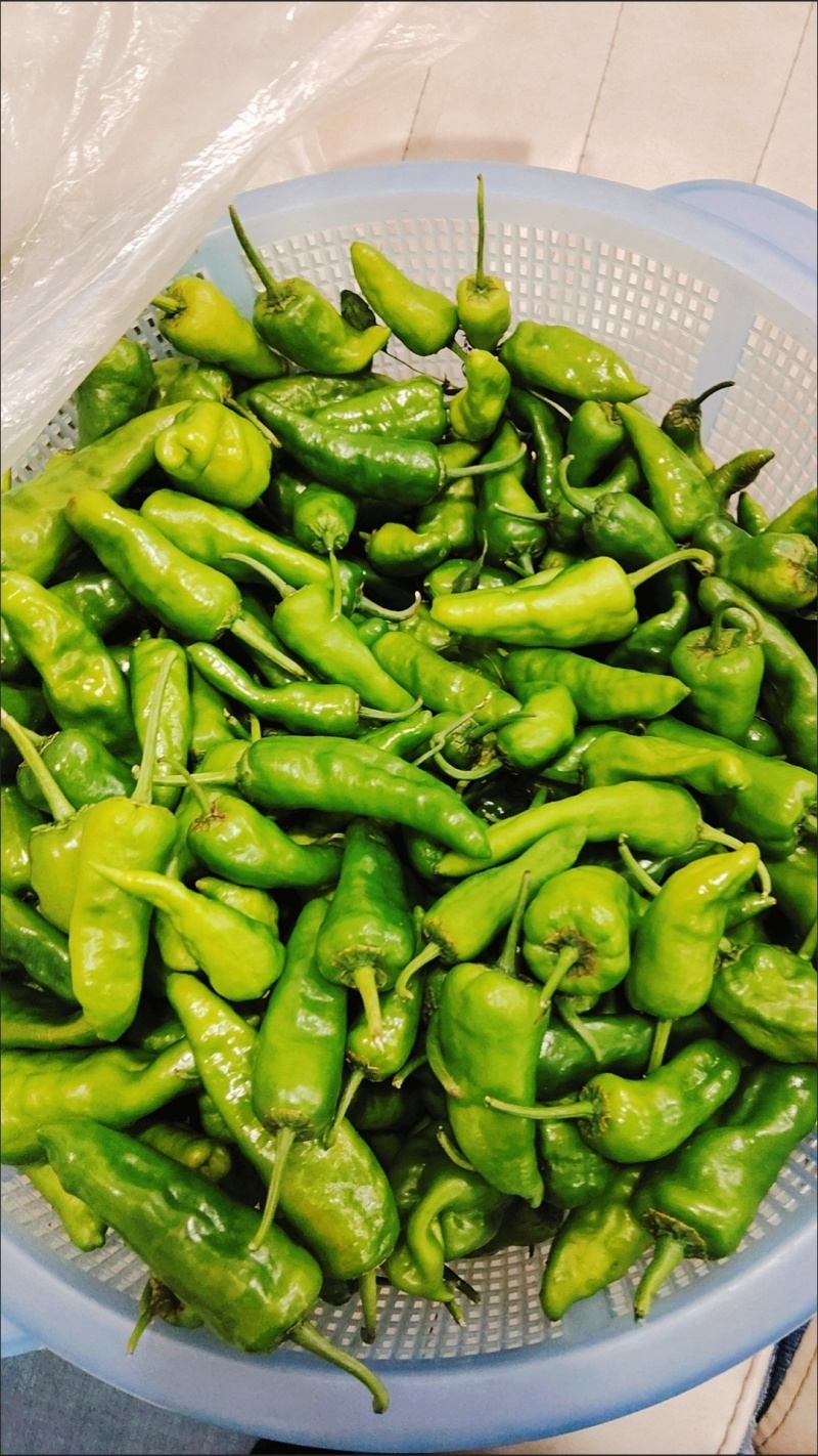 江西上饶余干辣椒