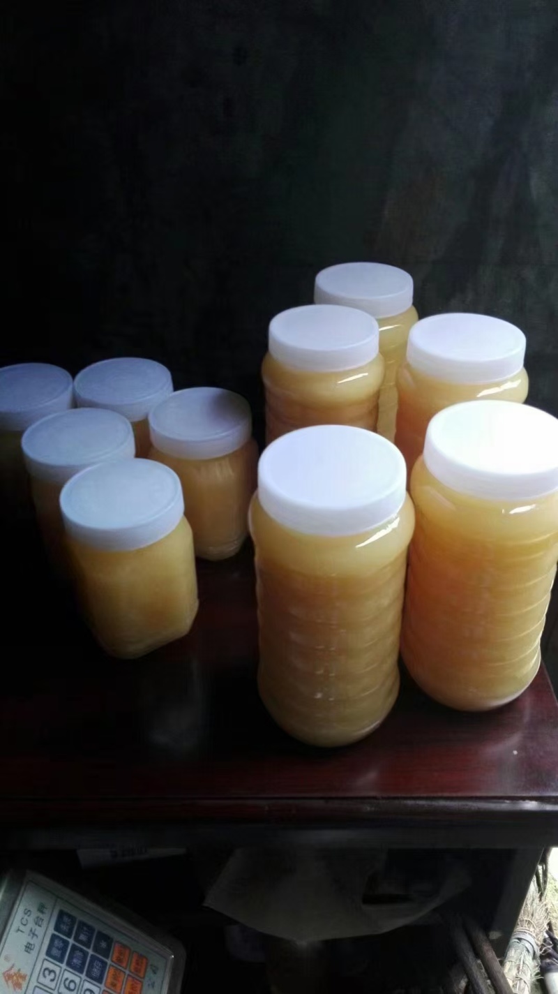 常年出售蜂蜜，蜂胶，蜂皇浆，蜂蜡，蜂花粉，欢迎有需要的来