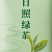 日照绿茶