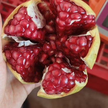 会理软籽石榴自家果园一件代发