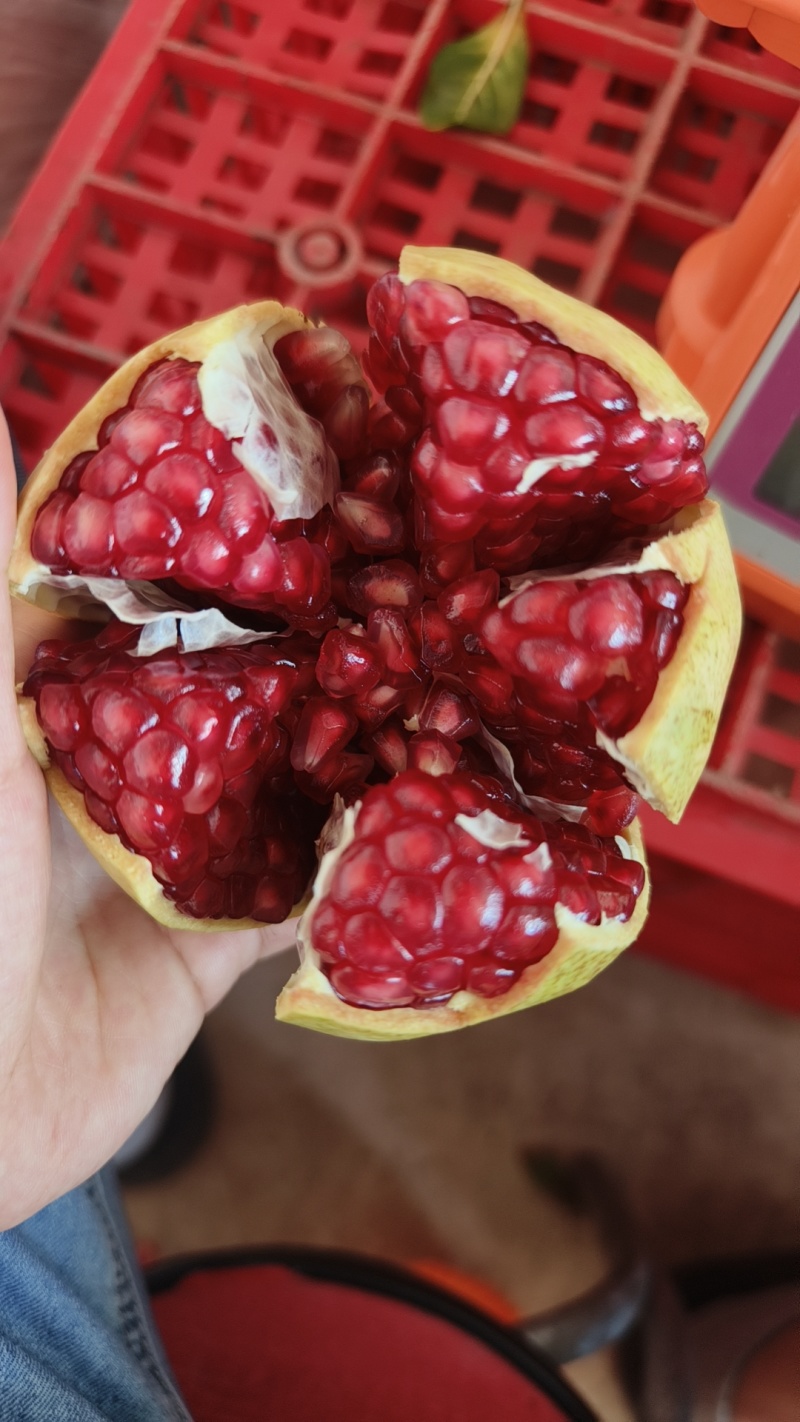 会理软籽石榴自家果园一件代发
