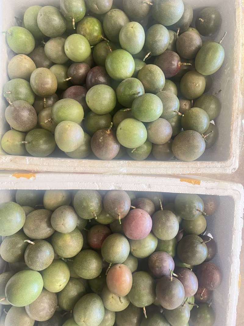 原产地批发百香果