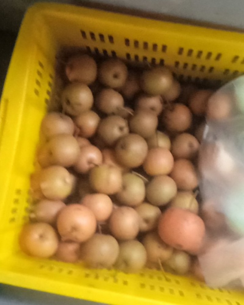 圆黄次梨