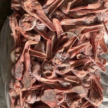 去舌鸭下巴货在临沂
