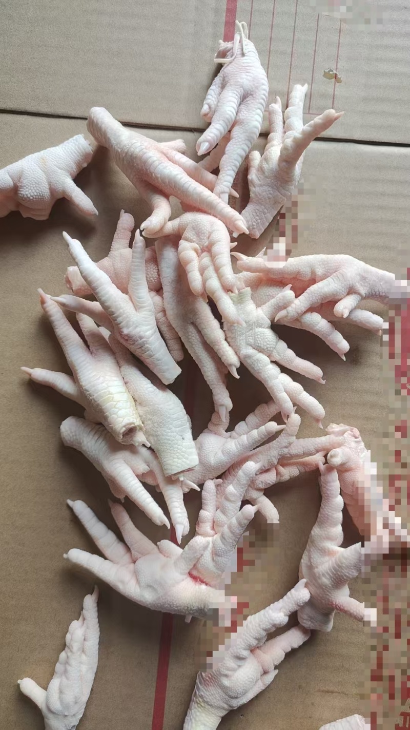 厂家二级凤爪13吨