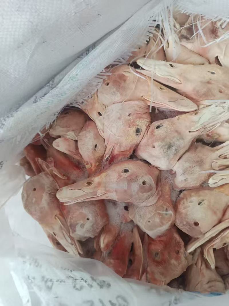 鸭头精品烤鸭头大板鸭头小包装鸭头