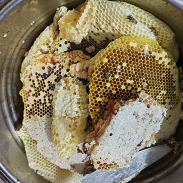 野生土蜂蜜