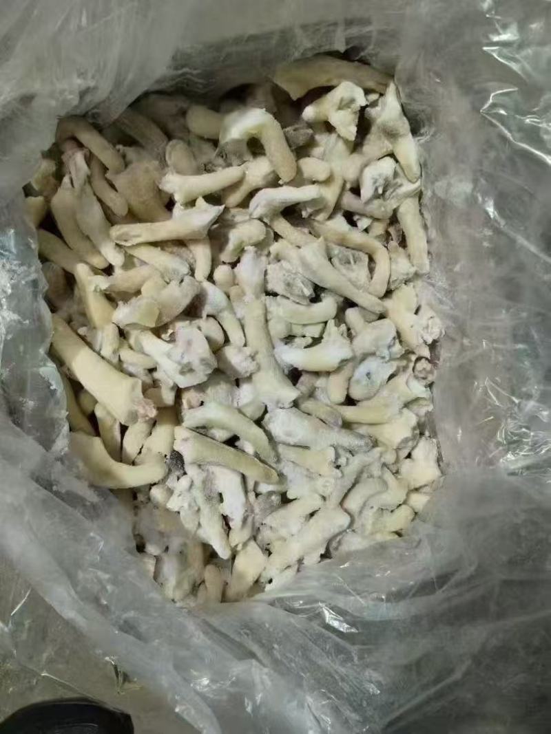 羊尾巴