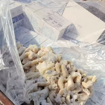 羊尾巴