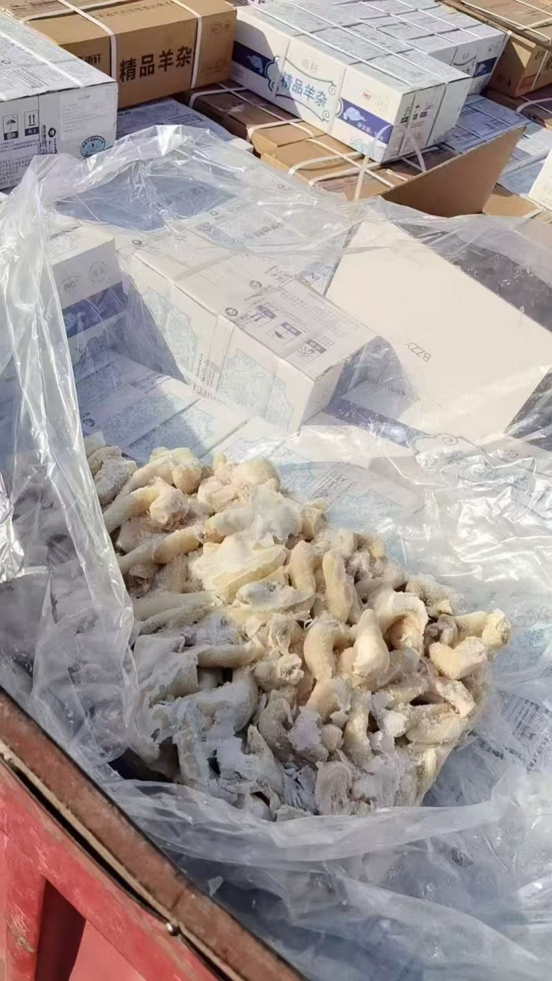羊尾巴