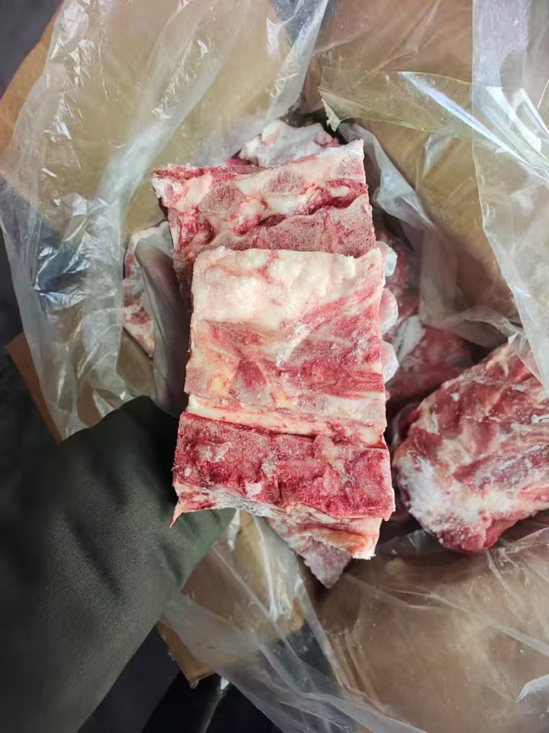 国产肥猪胫骨，带肉多