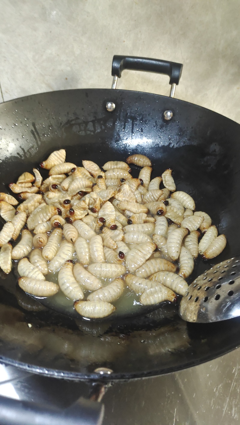 竹虫