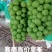 12克低糖18加串重1斤半左右