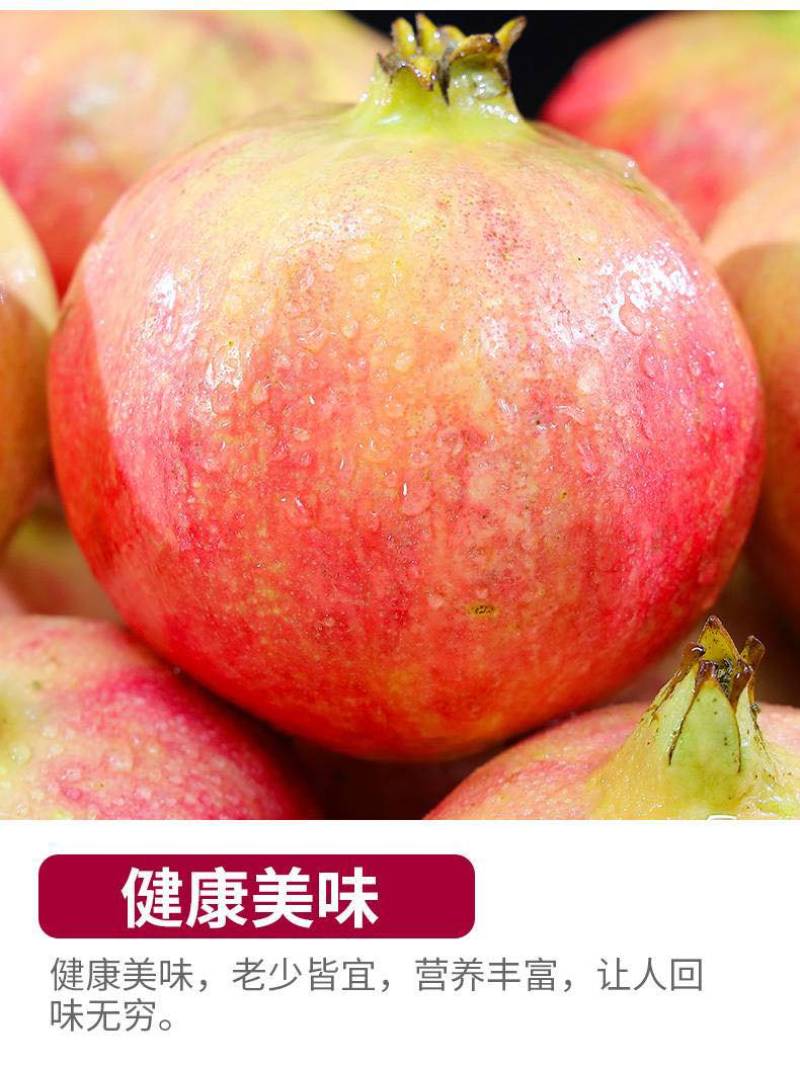 会理突尼斯软籽石榴