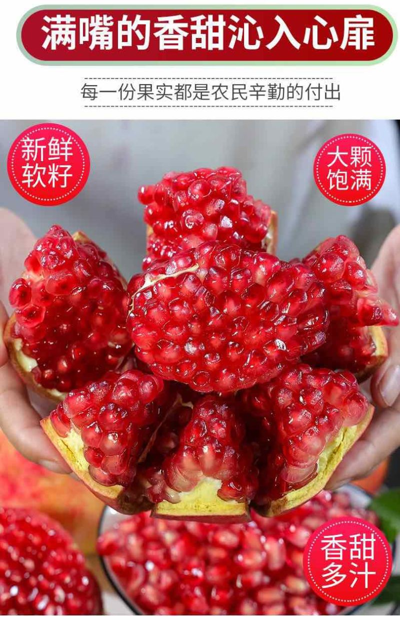 会理突尼斯软籽石榴
