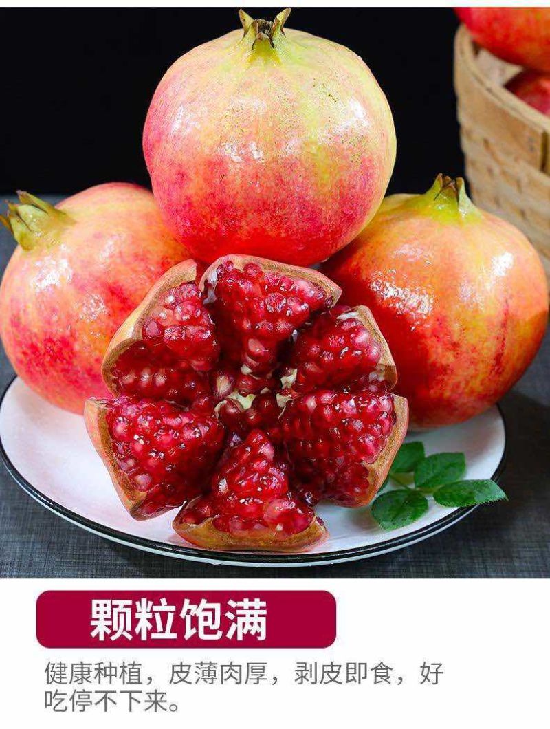 会理突尼斯软籽石榴