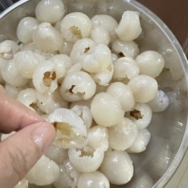荔枝果肉冻果肉