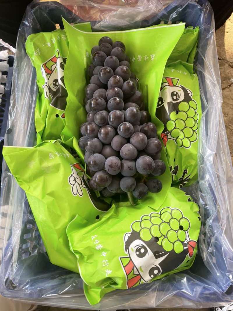 巨峰葡萄，阳光玫瑰