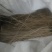 红薯粉条