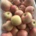 山东红富士🍎量大对接各大平台一件代发品质好价格低，欢迎来电