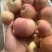 山东红富士🍎量大对接各大平台一件代发品质好价格低，欢迎来电
