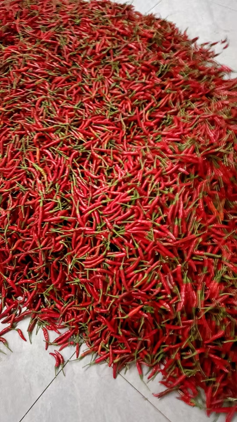 小米辣椒