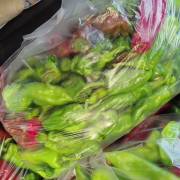 大辣椒