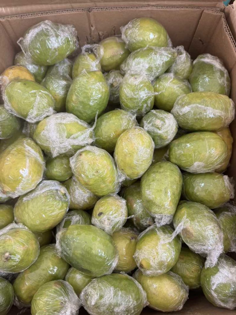 广东香水柠檬青黄果青黄柠檬