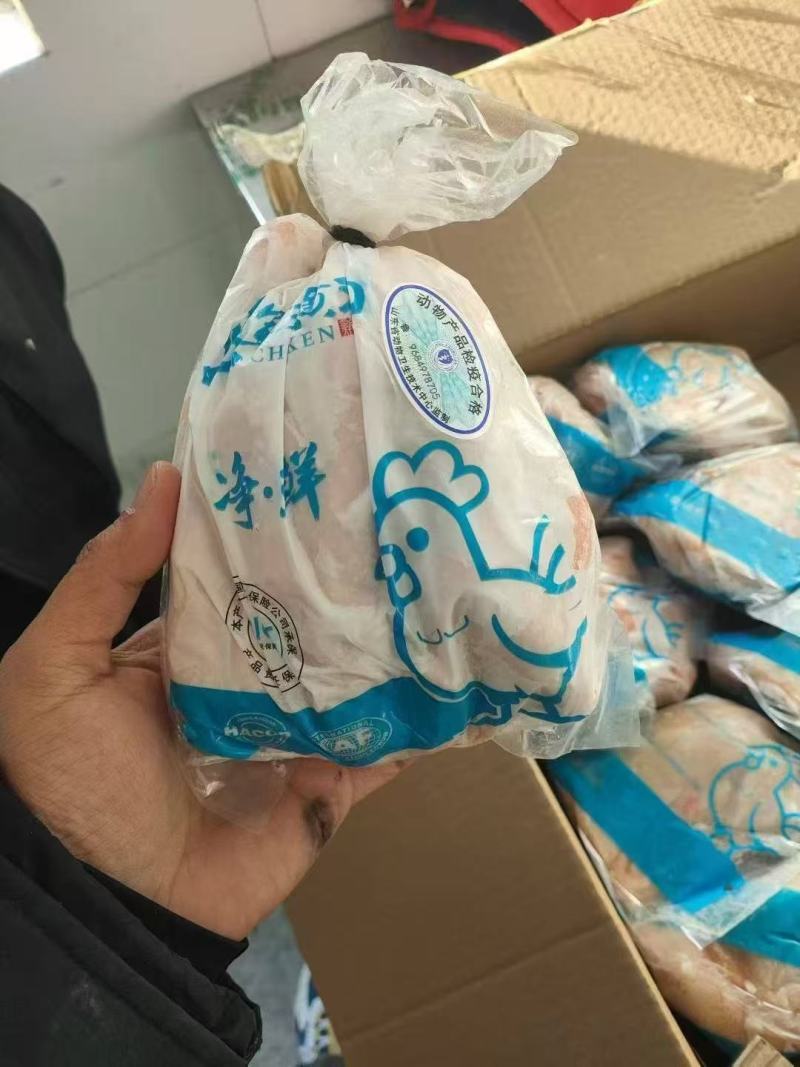 16只盘腿三黄鸡，有15吨现货，去年八月份到一月份的都有，大