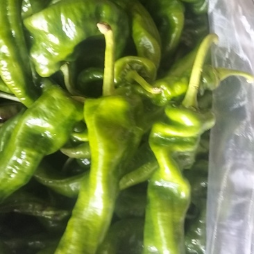 青皮椒。螺丝椒